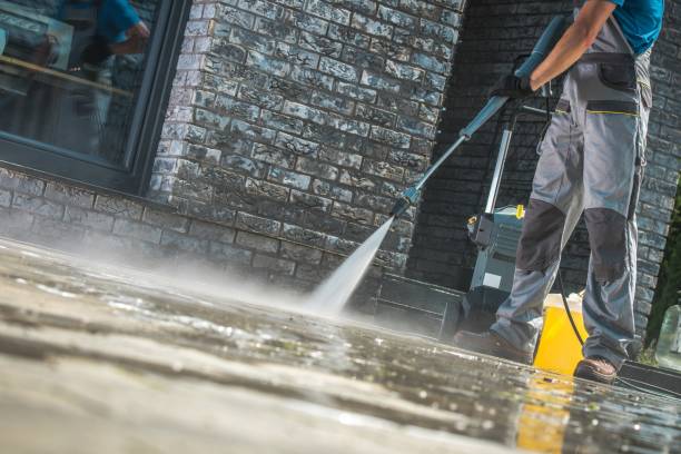 Best Animal Enclosure Cleaning  in Fruitport, MI